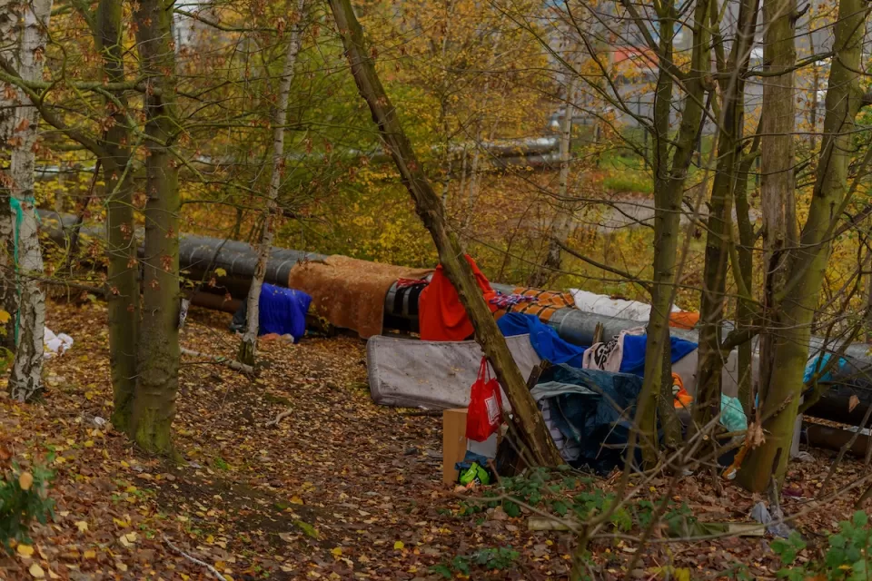 Small encampment with tents and mattress along heating pipe in green forest.